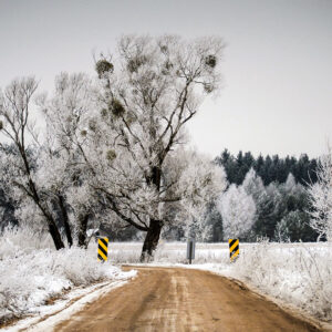 Winter Road